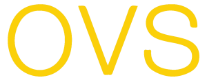 OVS FINAL